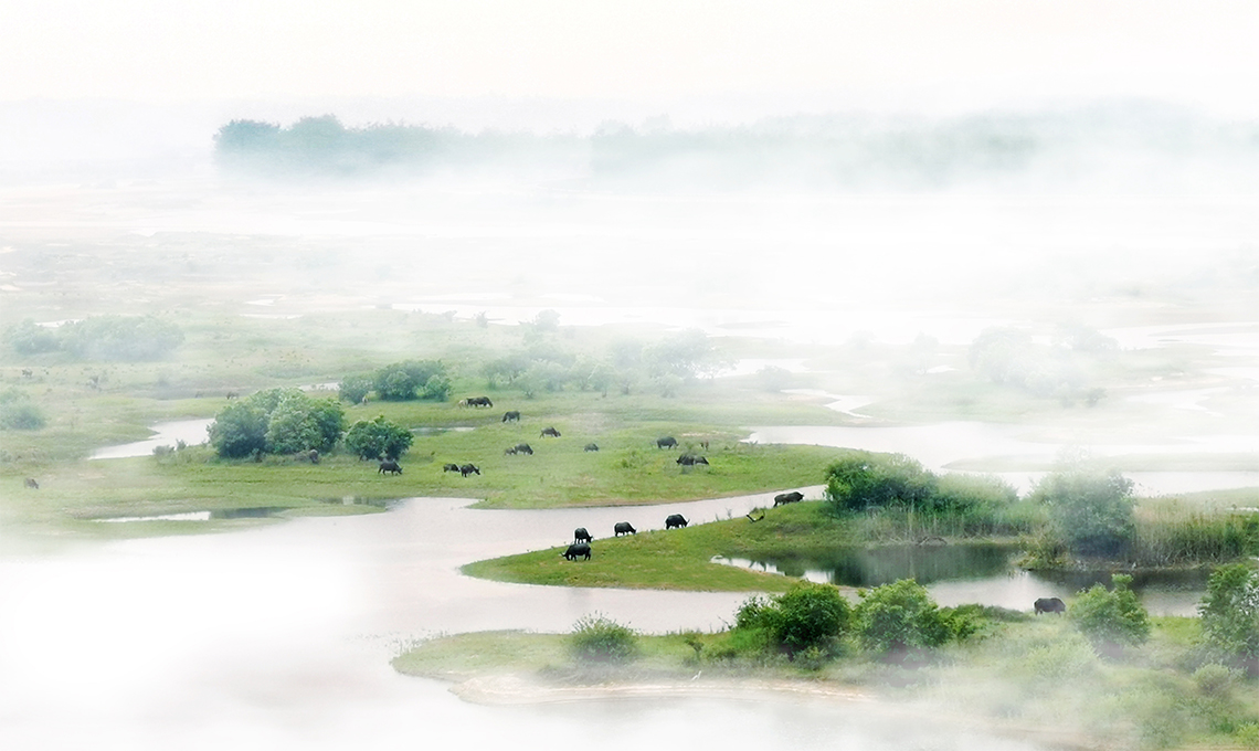 未標(biāo)題-2.jpg